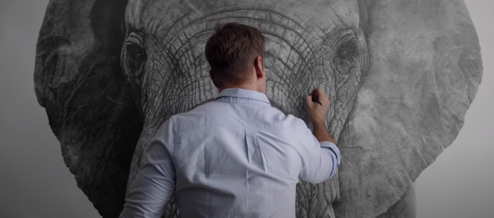 'makavuzi' by david filer - the world's first life-sized pencil drawing of an african elephant