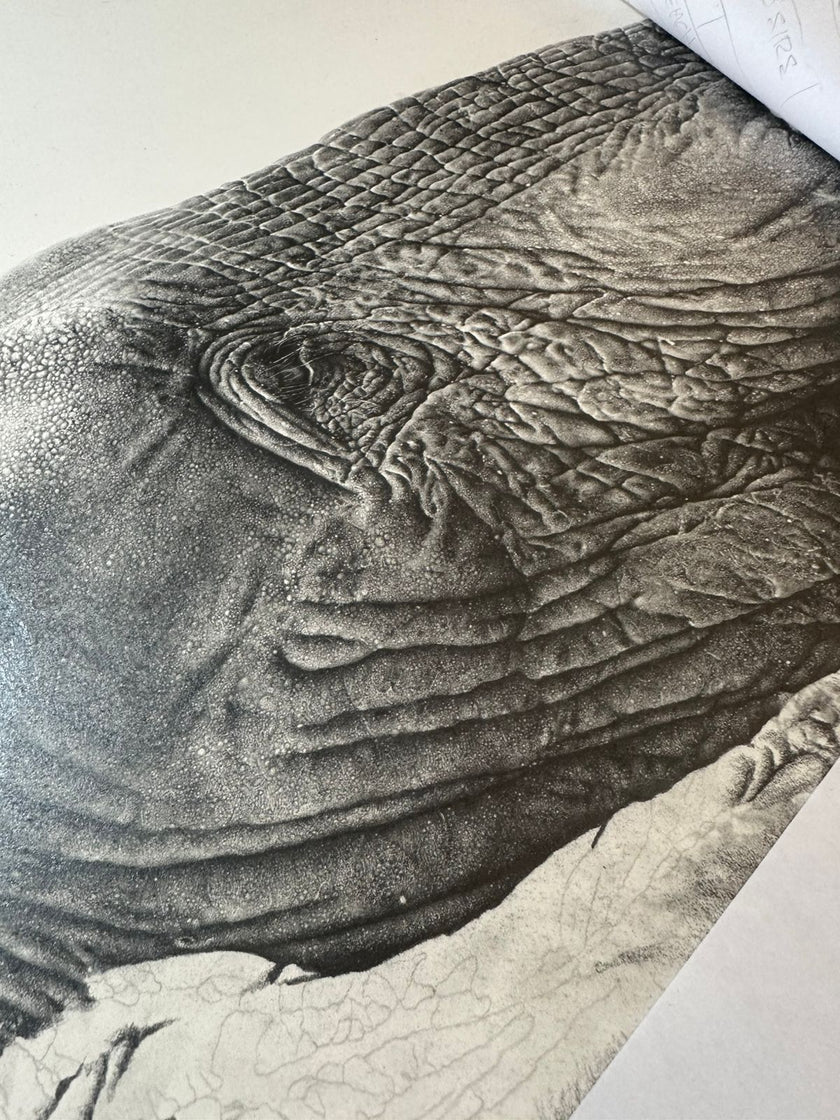 portrait of a giant