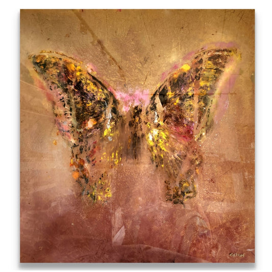 butterfly 6
