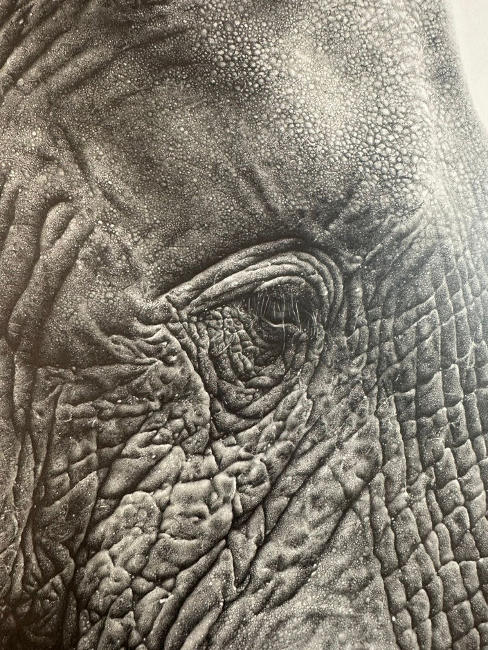 portrait of a giant