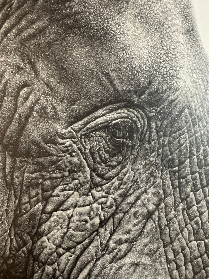 portrait of a giant