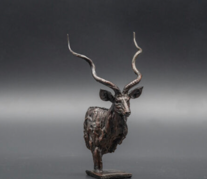 kudu bust