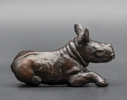 rhino calf