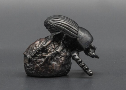 dungbeetle