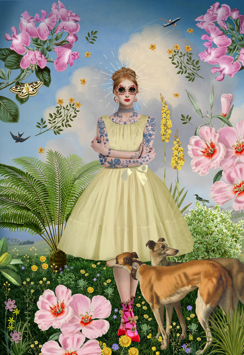 modish in a meadow