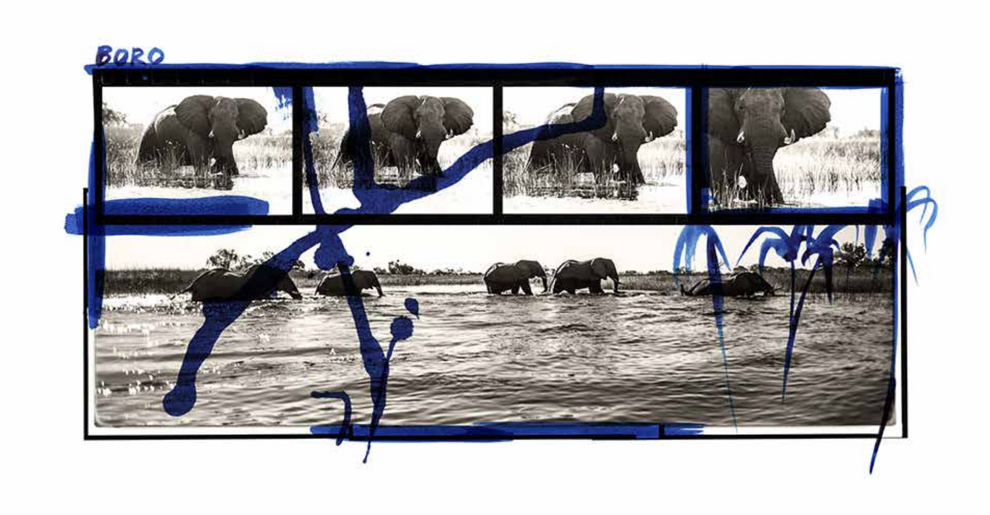 elephants crossing the river
